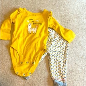 Just so llama-zing outfit